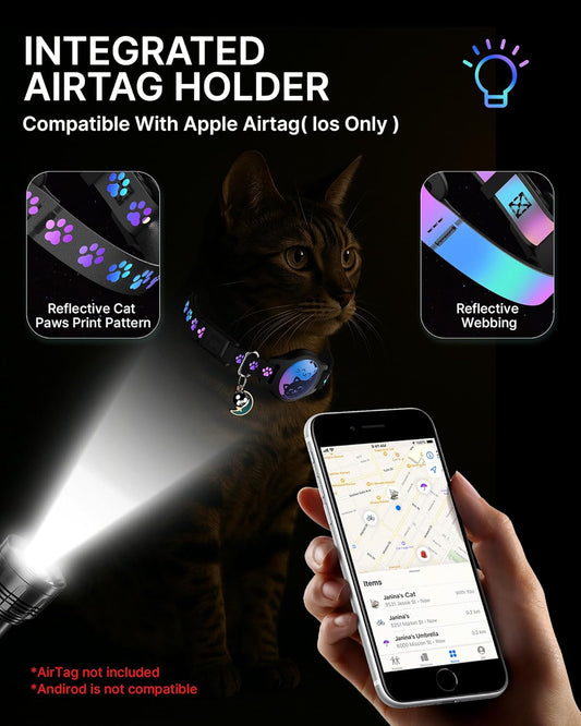 Typecase reflective kitten tracking collar showing the adjustable strap mechanism and safety breakaway buckle