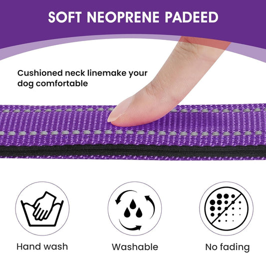 Durable zinc alloy D-ring on penseepet dog collar