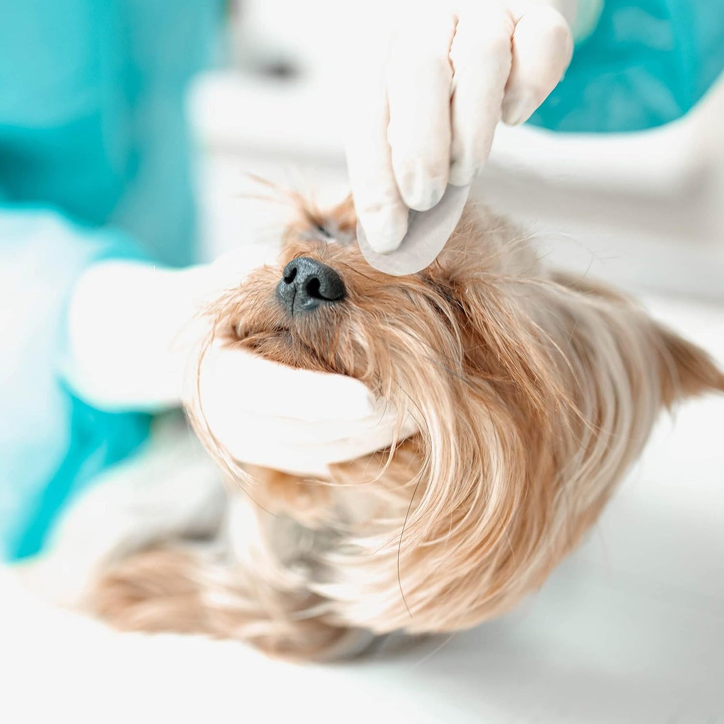 Eye Envy daily pet care wipes for clearing eye discharge and crust