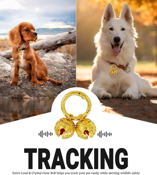 Morn Light engraved protective pet charm with quick clasp closure close up