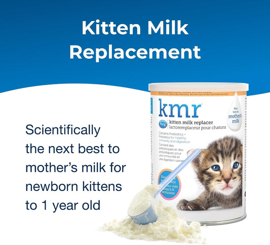 PetAg KMR Kitten Milk Replacer twelve ounce canister close up