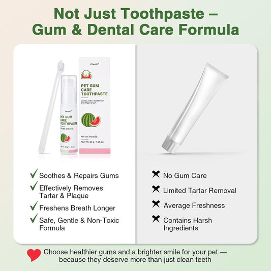 Oivolii canine oral health kit showing the long-handled pet toothbrush and tube of paste.