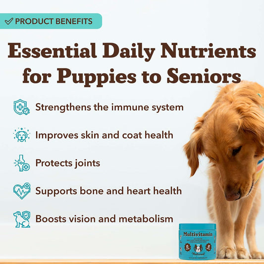 Natural Dog Company multivitamin soft chews texture and size