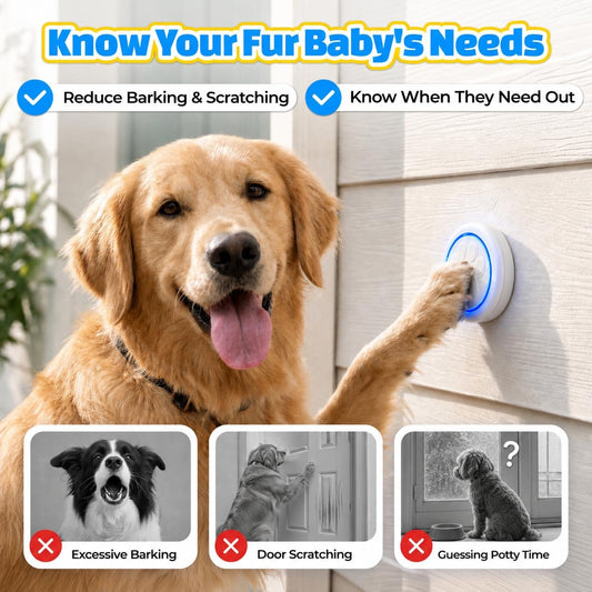 Anyfree dog potty training bell receiver and button set