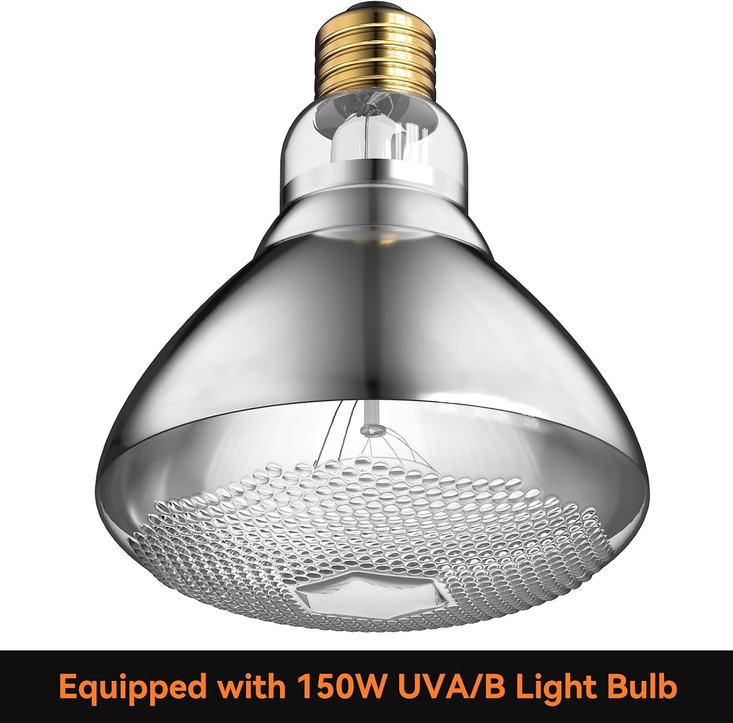 Premium imported DTZY reptile light fixture packaging and accessories