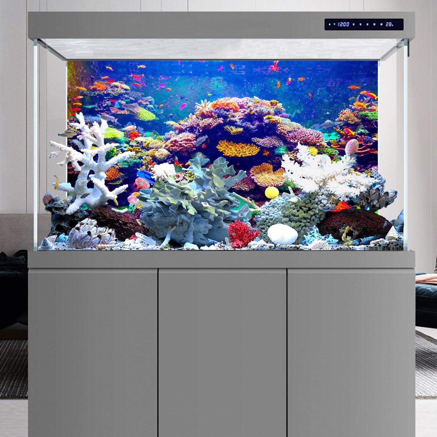 Outer glass installation layout for the underwater world terrarium backdrop.