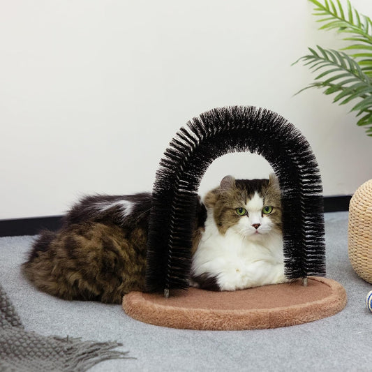 Hollypet cat scratcher toy displaying the updated secure screw-in base installation.
