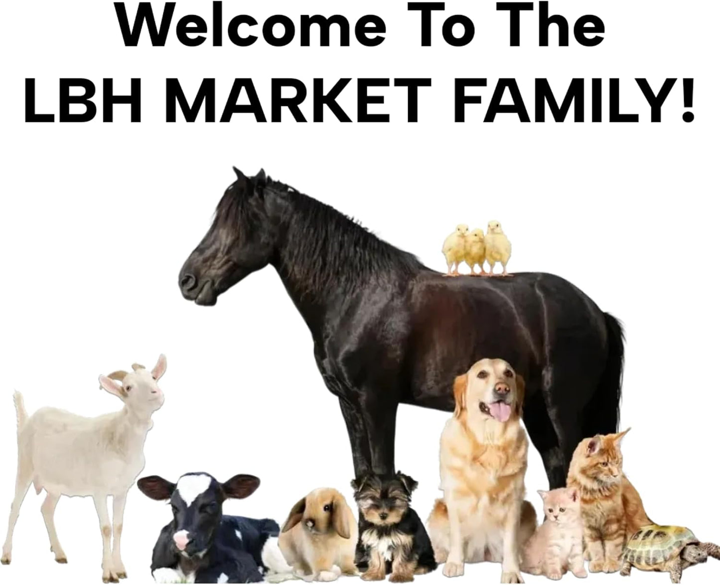 Complete packaging of the USA imported LBH Market professional neonatal pet feeding kit