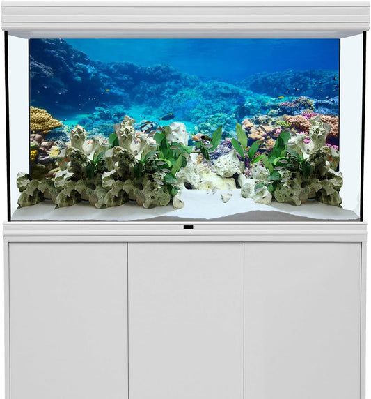 Detailed high definition tropical fish undersea backdrop for 36x20 inch tanks.