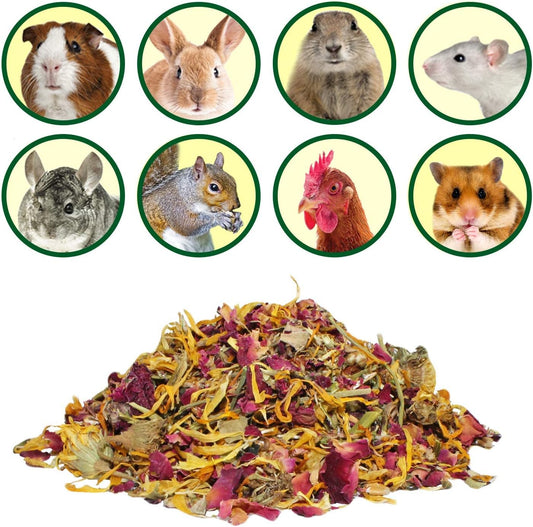 Exotic Nutrition small pet herbivore snack package back label with ingredient details