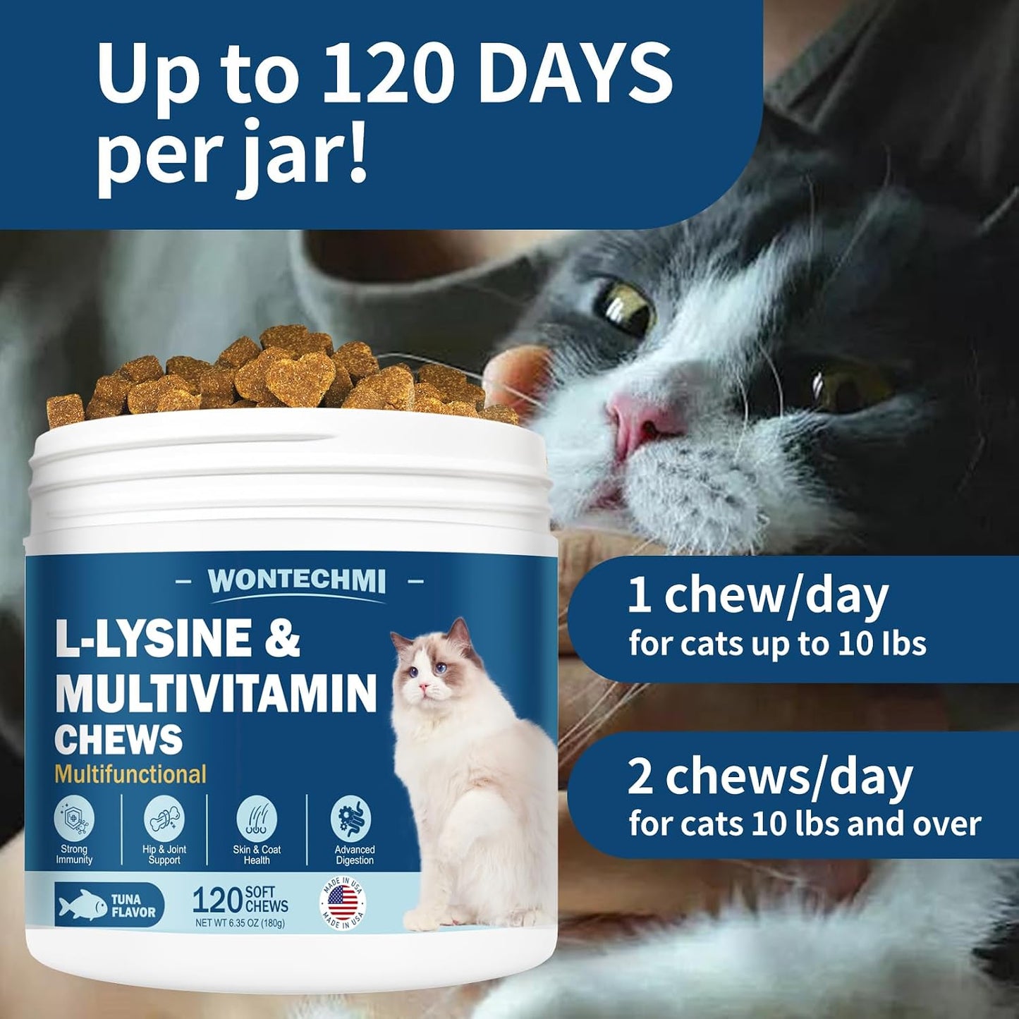 Kinpur Pet Care feline multivitamin chews demonstrating the soft texture and pet appeal.