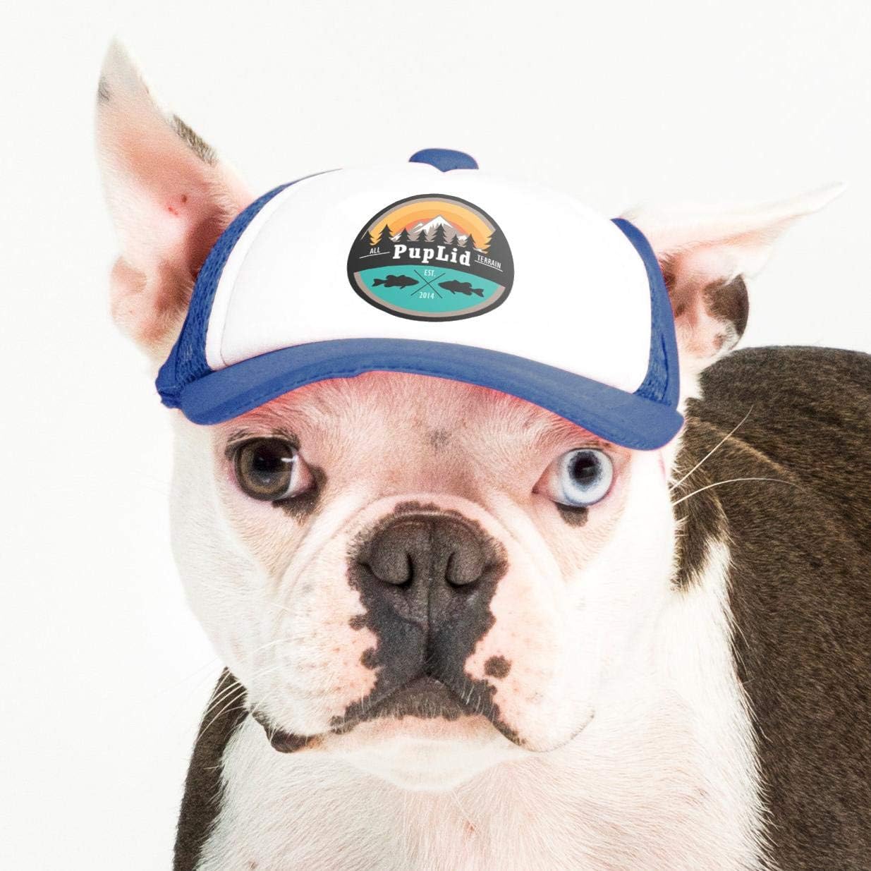 Sunset Collection, PupLid Trucker Hats for Dogs (Large) Premium Stylish Sun Protection for The Modern Dog - Adjustable for Secure Comfortable Fit on Active Dogs (Black, All-Terrain) - Image 15