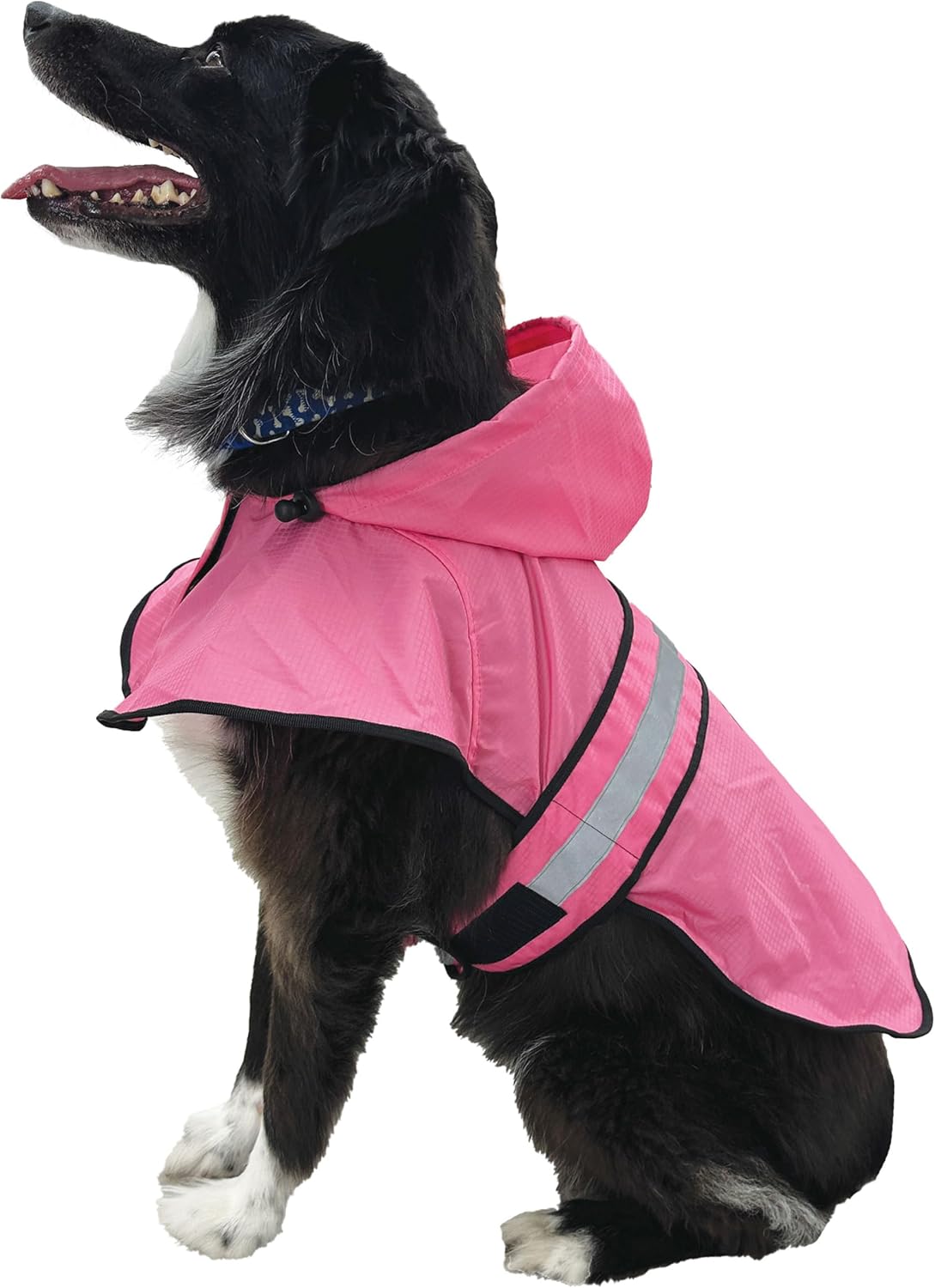 FROGG TOGGS Dogg Toggs Raincoat, Blue, Size LG - Image 10