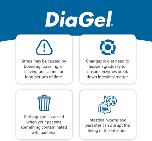Van Beek DiaGel kitten anti diarrheal gel packaging showing clear usage instructions for loose stools