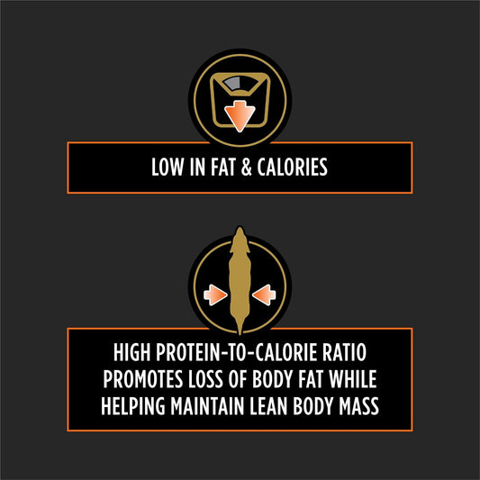 Purina OM Overweight Management dry dog food packaging showing authentic premium import label.