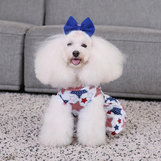 CuteBone athleisure puppy skirt crop top set on a small breed dog.