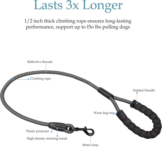 Drgxle heavy duty dual dog lead showing the embedded high brightness reflective safety stripes