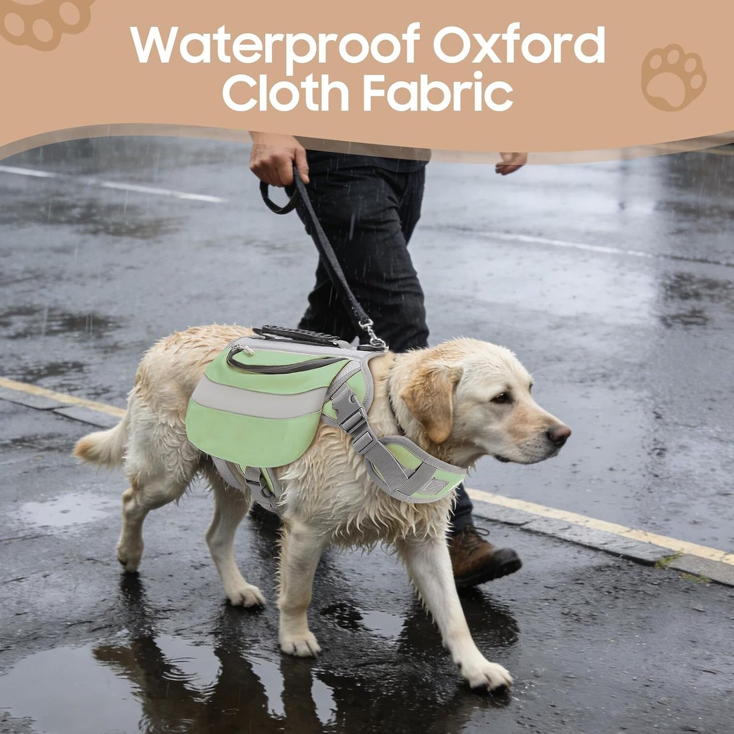 Rosvola outdoor dog training gear with secure stitching and hardware details