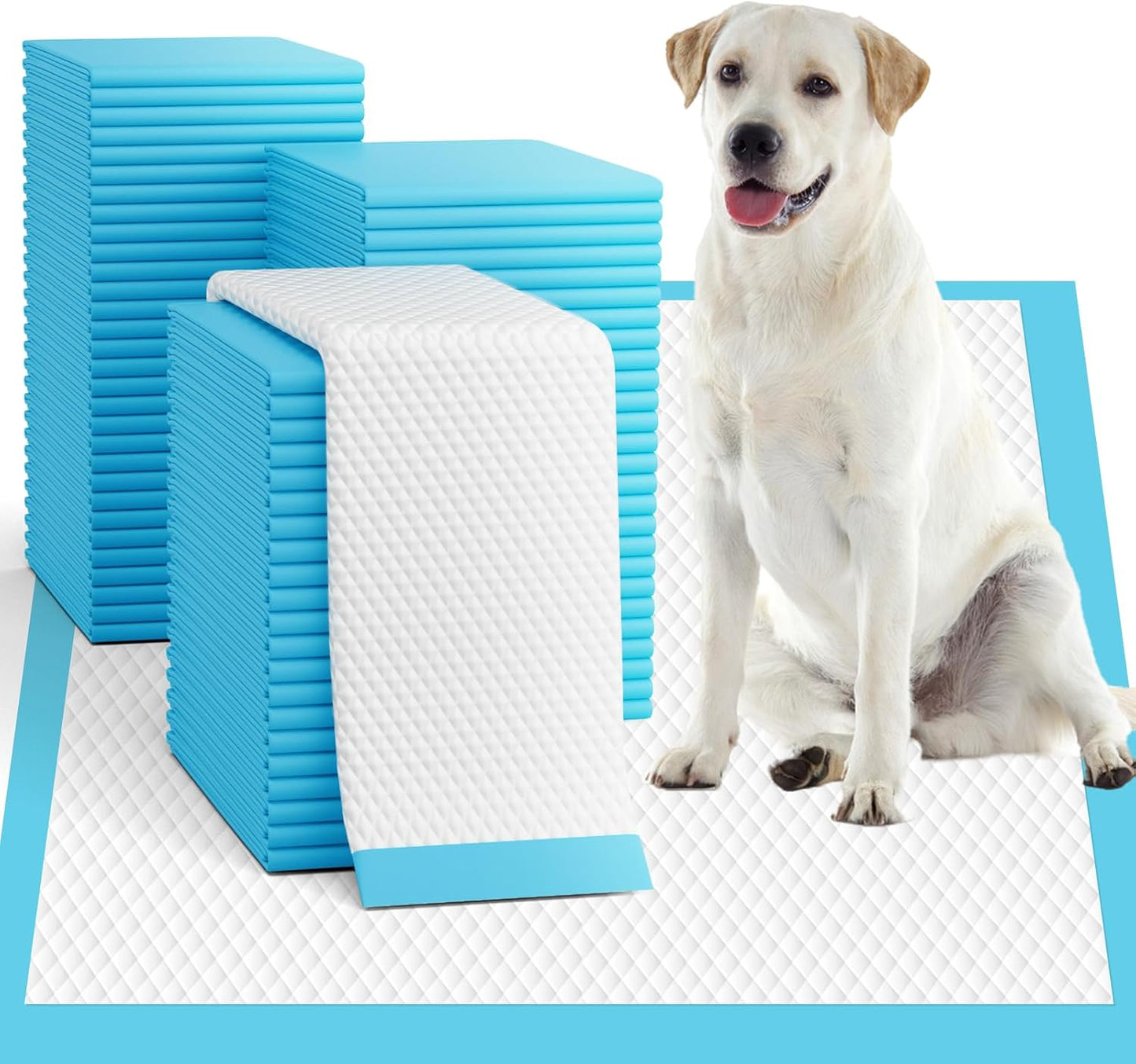 Puppy Pads XL 100 Count, Dog Pee Pads Extra Large, 34"x28" Pee Pads for Dogs, X-Large Disposable Dog Training Pads Super Absorbent&Leak-Proof, Crate Potty Piddle Pads for Doggy, Pet Supplies - Image 11
