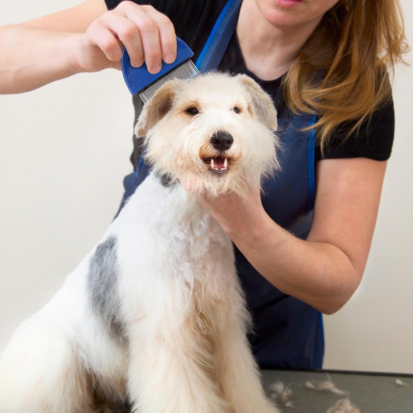 Prime Pets pet grooming comb for all hair types