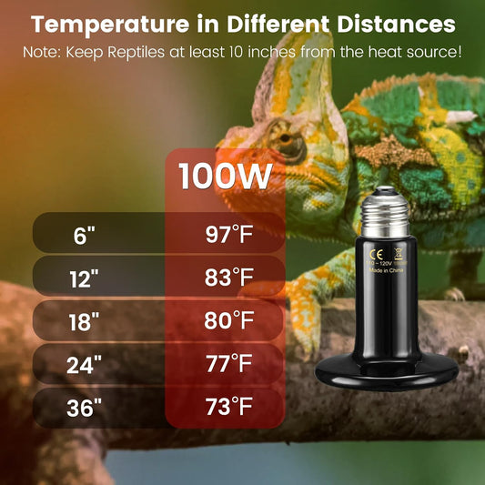 REPTITRIP dual dome reptile lamp independent switches setup