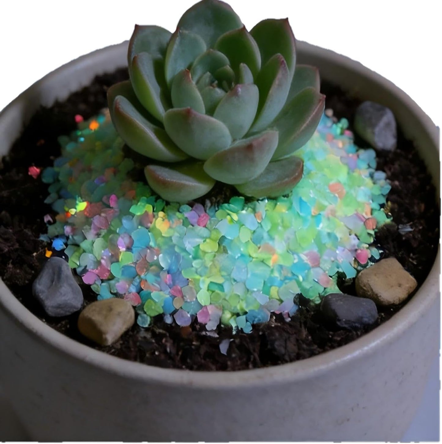 Macro shot of resin sand texture for succulent decor