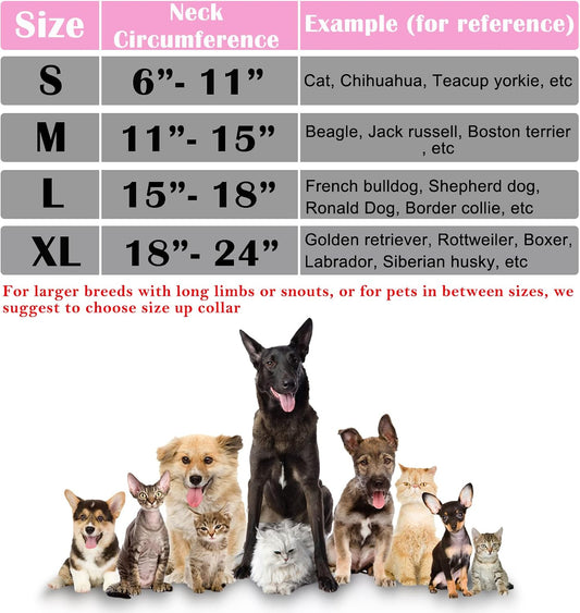 Medium size pink inflatable recovery collar adjusted securely on a dog neck