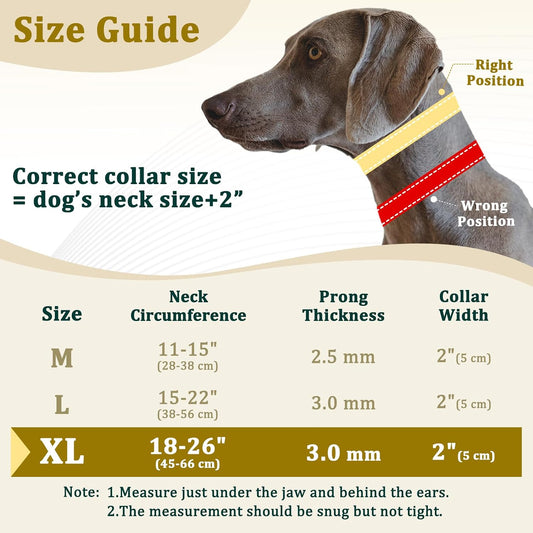 Mayerzon hidden pinch training collar showing interior stainless steel links with rubber comfort tips.