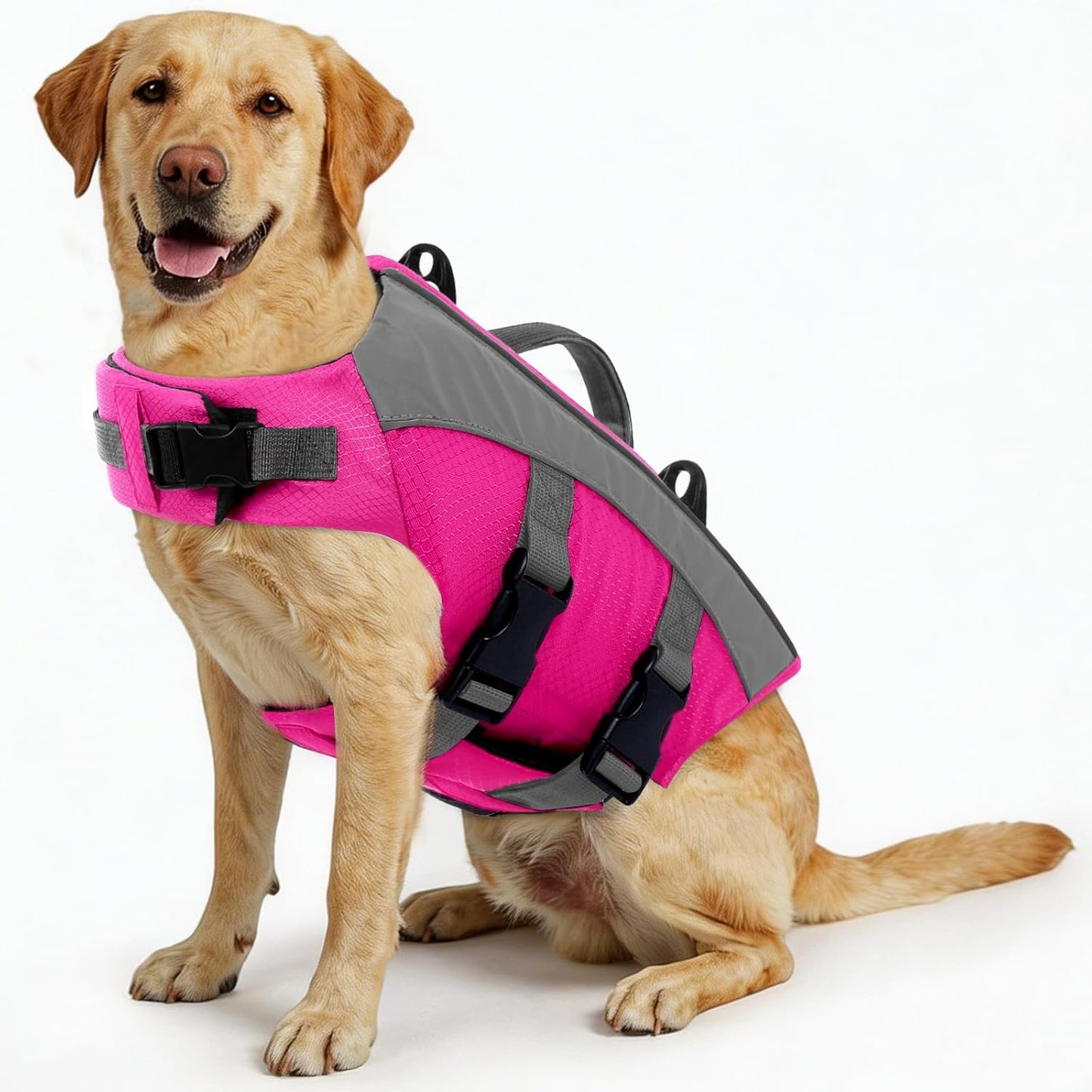 ASENKU Dog Life Jacket with Reflective Stripes, Adjustable High Visibility Dog Safety Vest, Ripstop Lifesaver, Pet Preserver with High Flotation Swimsuit for Small, Medium and Large Dogs (Red, 2XL) - Image 15