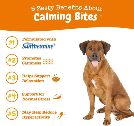 Zesty Paws dog composure and relaxation peanut butter chews packaging side view