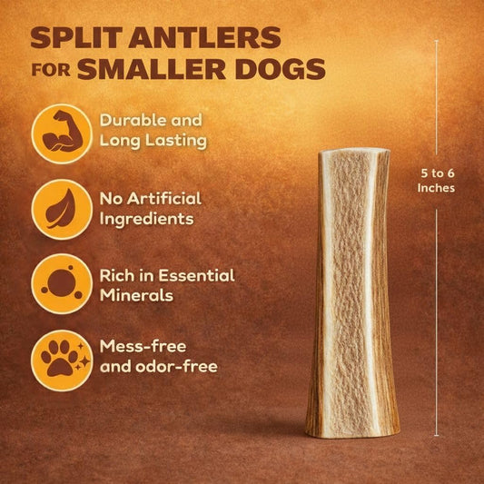 Three small to medium split elk antler chews for dogs