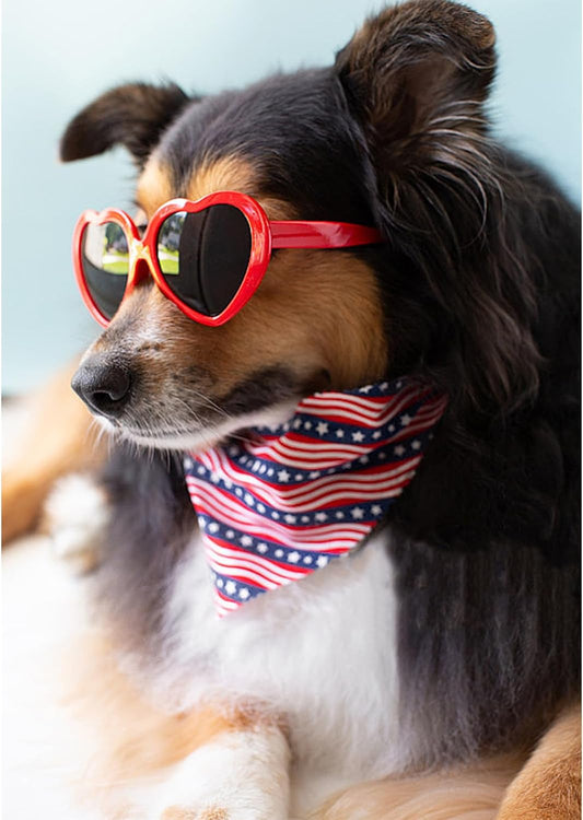Lionheart Glory patriotic pet scarf folded diagonally showing stars pattern