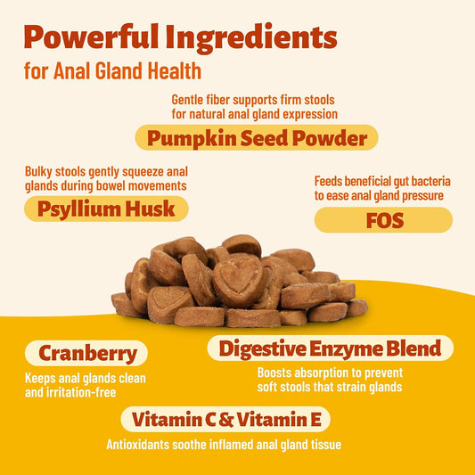 Multibites Cat digestive health chews with pumpkin seed and psyllium husk