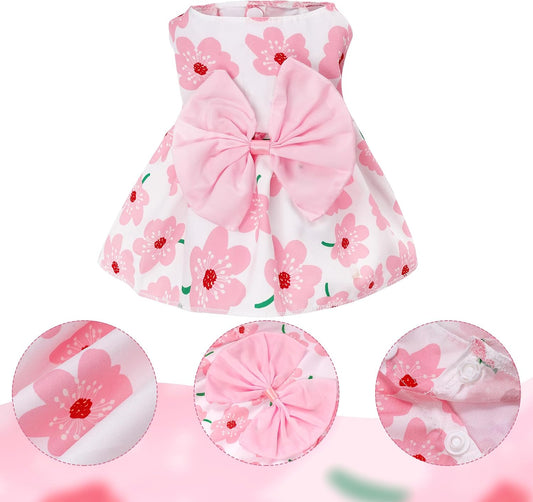 Choyaxo summer pet clothes displayed on a cute small puppy breed walking outdoors.