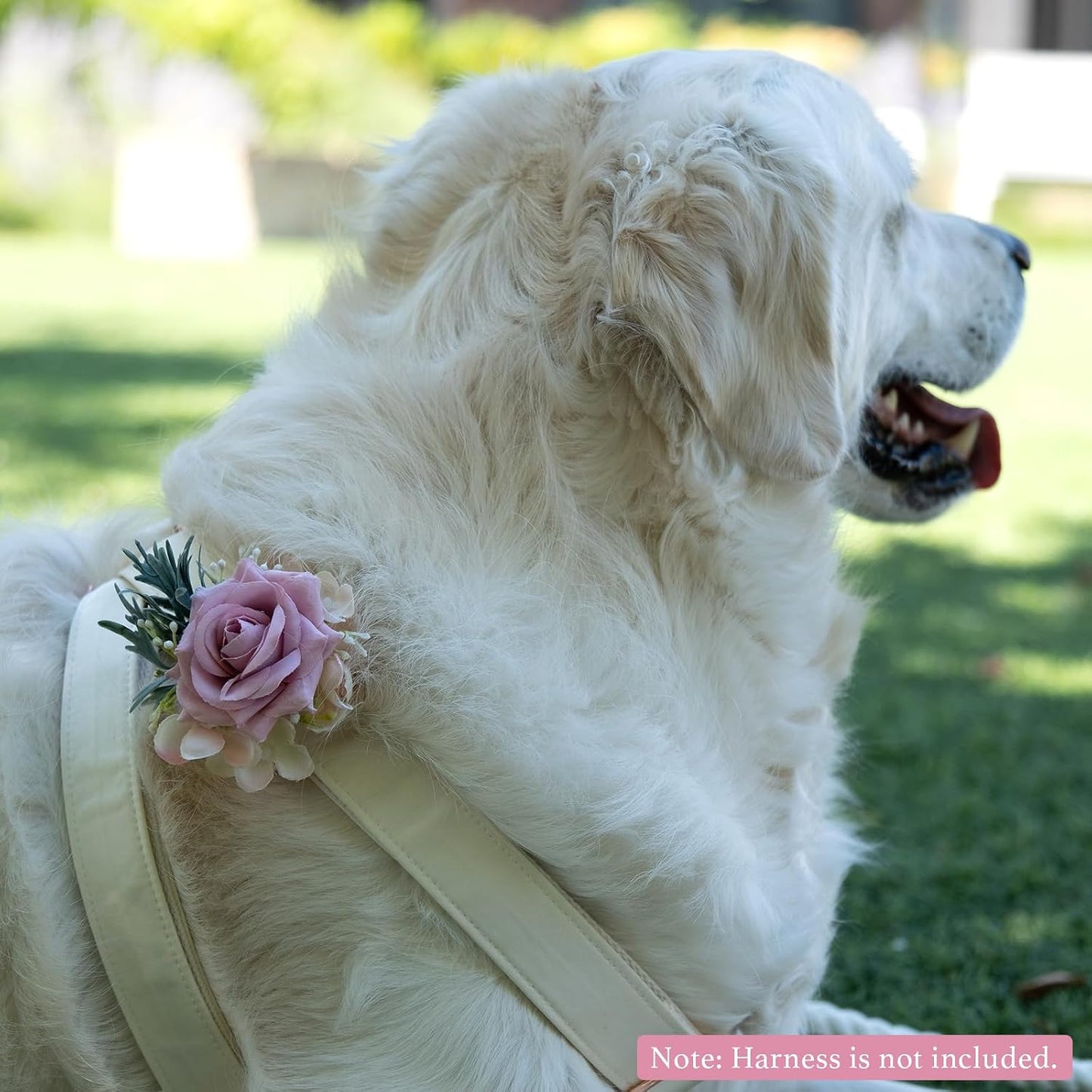 Adjustable pink rose flower accessory attached to dog leash