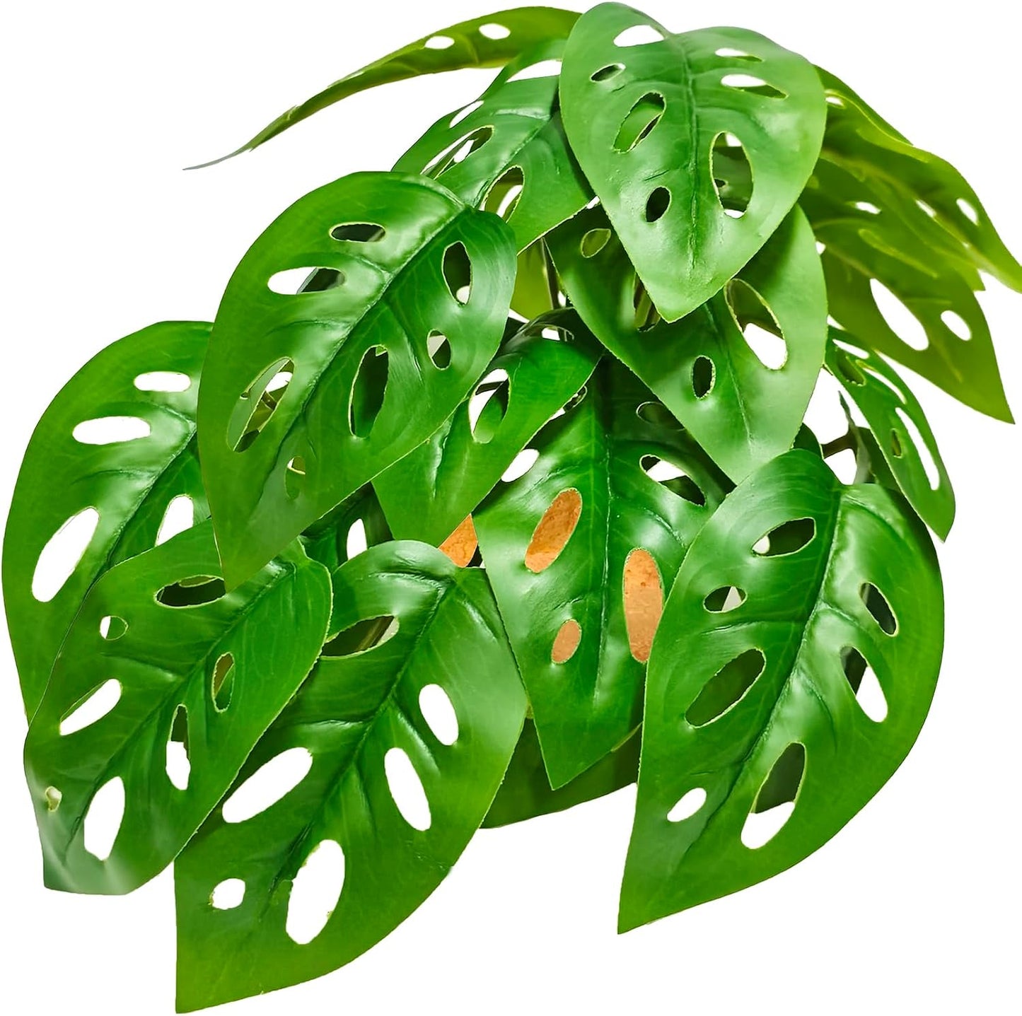 Woyrise Reptile Artificial Plants Terrarium Decor, Fake Desert Plants Bearded Dragon Tank Decorations Accessories fit Crested Gecko Leopard Lizard Chameleon Ball Python Snake Frog - Tillandsia - Image 9