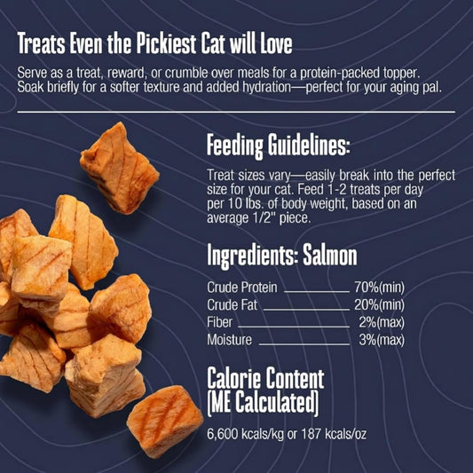 Whole Life Pet freeze dried salmon fillet cat treat texture