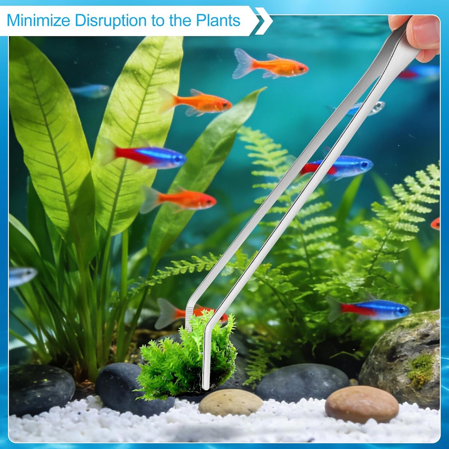 Premium USA imported aquarium tool set with extra long handles for deep tank access.