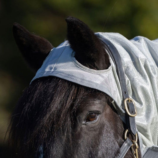 Rugged Ride horse fly rug with full belly wrap and adjustable surcingles side view