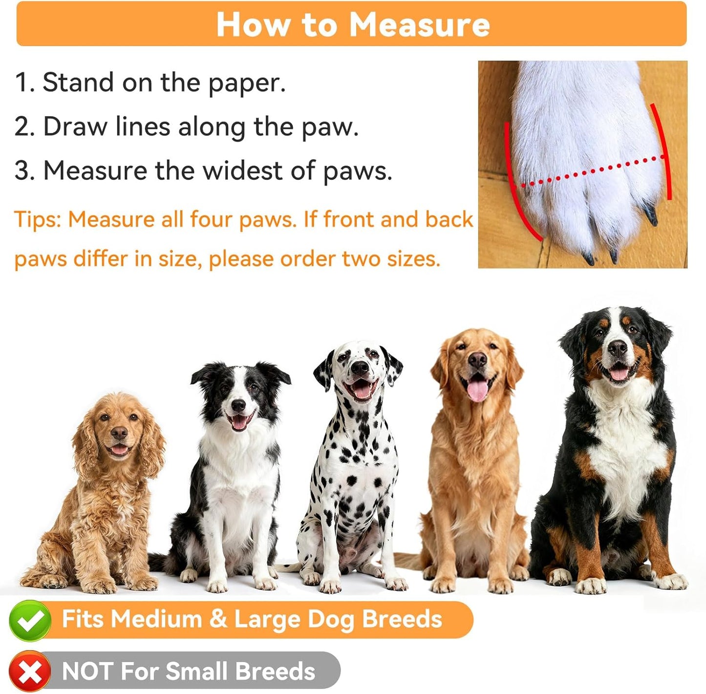 Detailed view of Dimicoo dog boot adjustable dual strap closure.