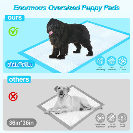 CAHUDIKIC disposable pet training pads 36 by 51 inches laid flat on a living room floor.