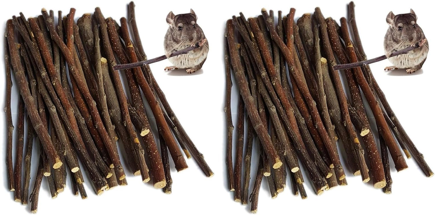sharllen 100g (3.5oz) Apple Sticks Pet Snacks Chew Toys for Guinea Pigs Chinchilla Squirrel Rabbits Hamster - Image 9