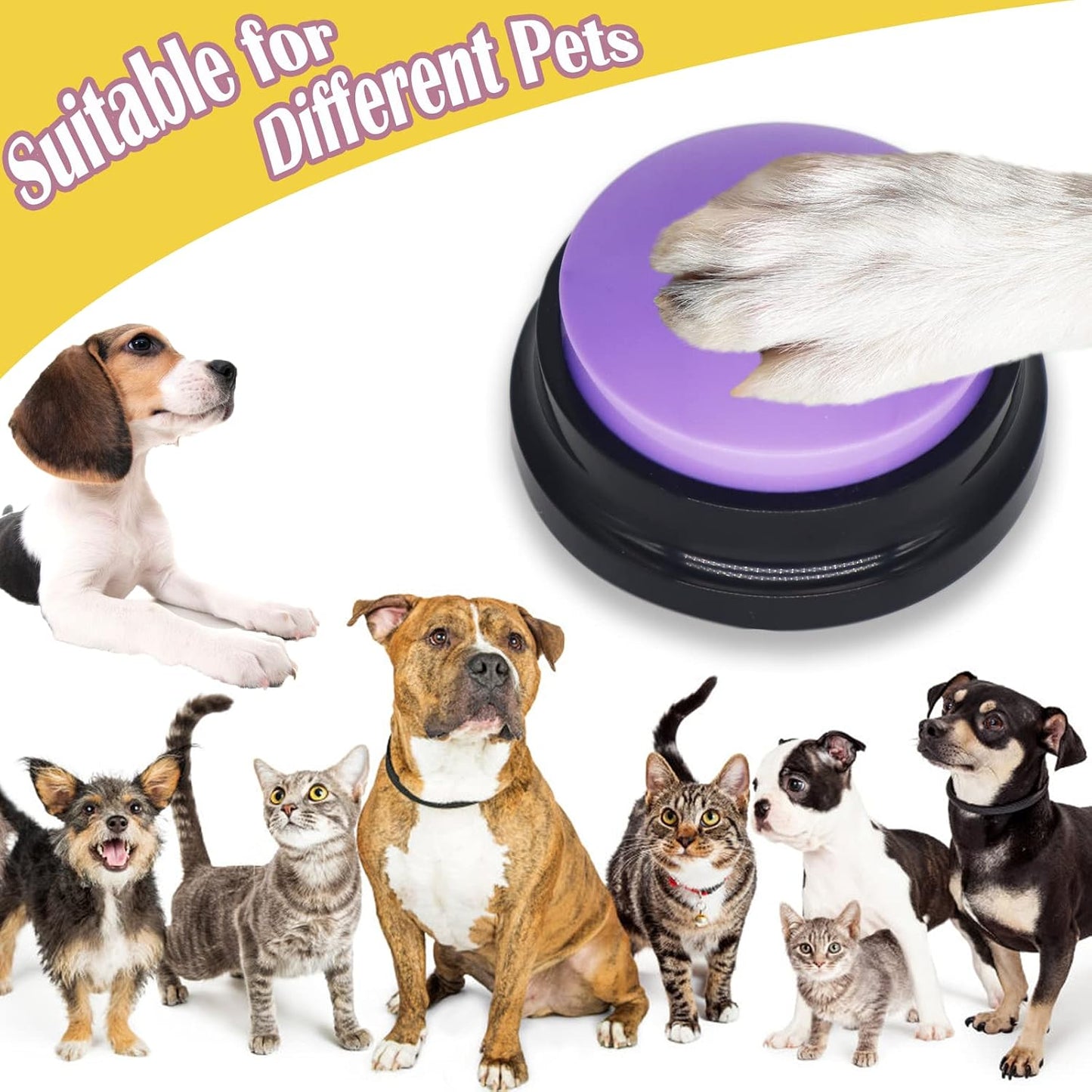 The complete pet training set box including the instruction manual for communication exercises.