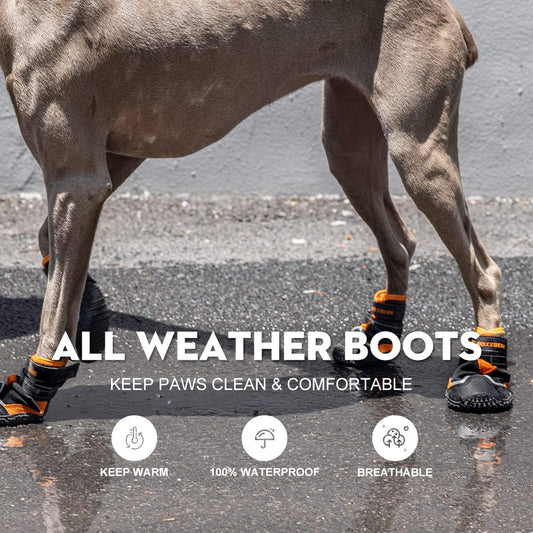 Boxxberk dog shoes with anti-slip rubber soles