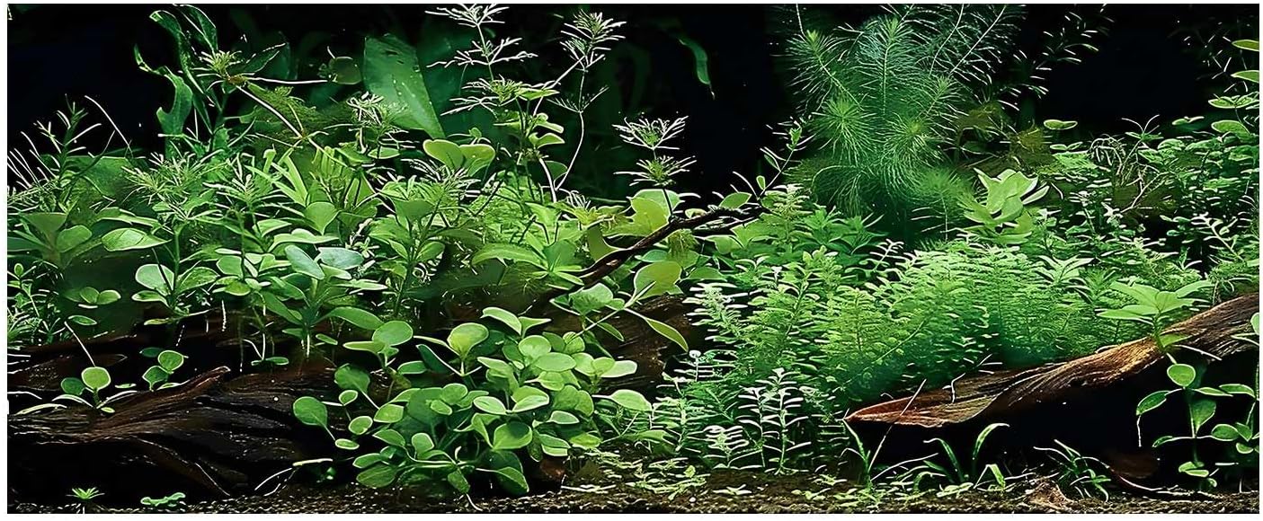 Aquarium Background, Aquatic Plant River Bed & Lake Tropical Undersea Tree Branch Fish Tank Background, 6 EVA Double-Sided Tapes 36x18 inches/90x45 - Image 15