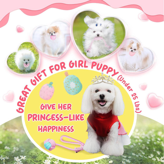 XIUGOAL pink cotton rope toys and squeaky plush shapes for puppy boredom