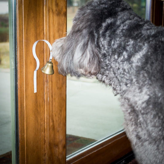 Side view of the wall-mounted BarkOutfitters GoGo Bell for pets