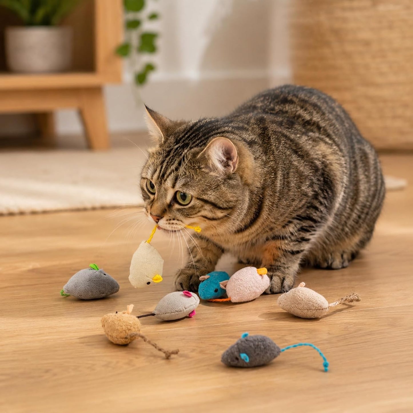 Packaging collection of the authentic imported Haourlife catnip stuffed mouse toys.