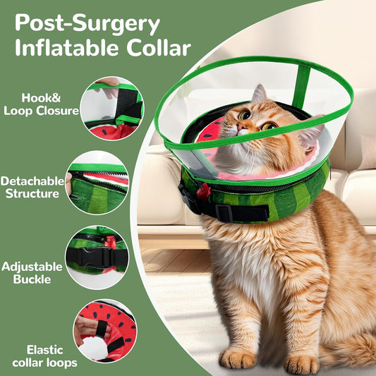 Seektik adjustable recovery collar with clear shield attached
