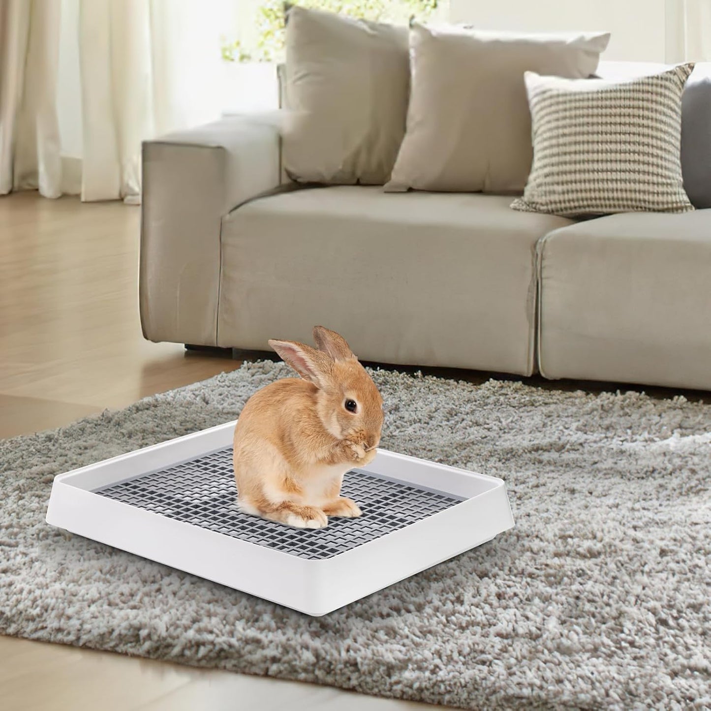 Small animal friendly smooth edge design on the bunny litter tray